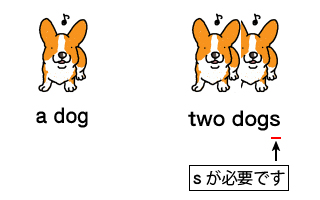 犬が2匹の時は名詞を複数形（two dogs）にする